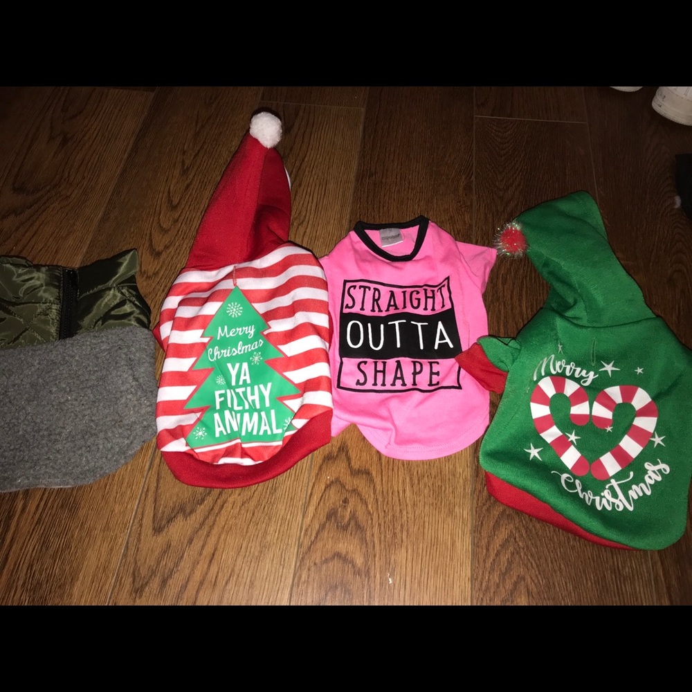 Dog clothes